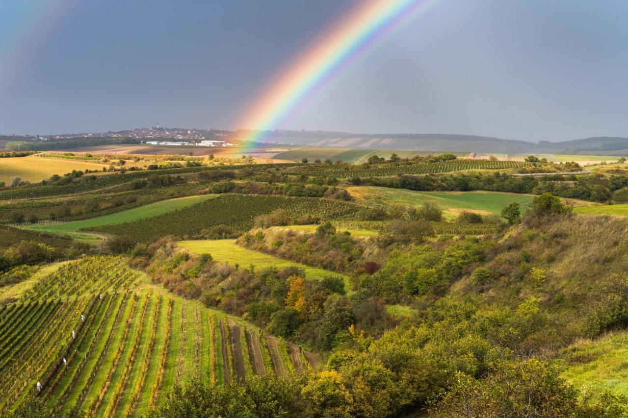 Vinoza - Ubytovani A Vinny Sklep Velke Bilovice Rulandova Exterior photo