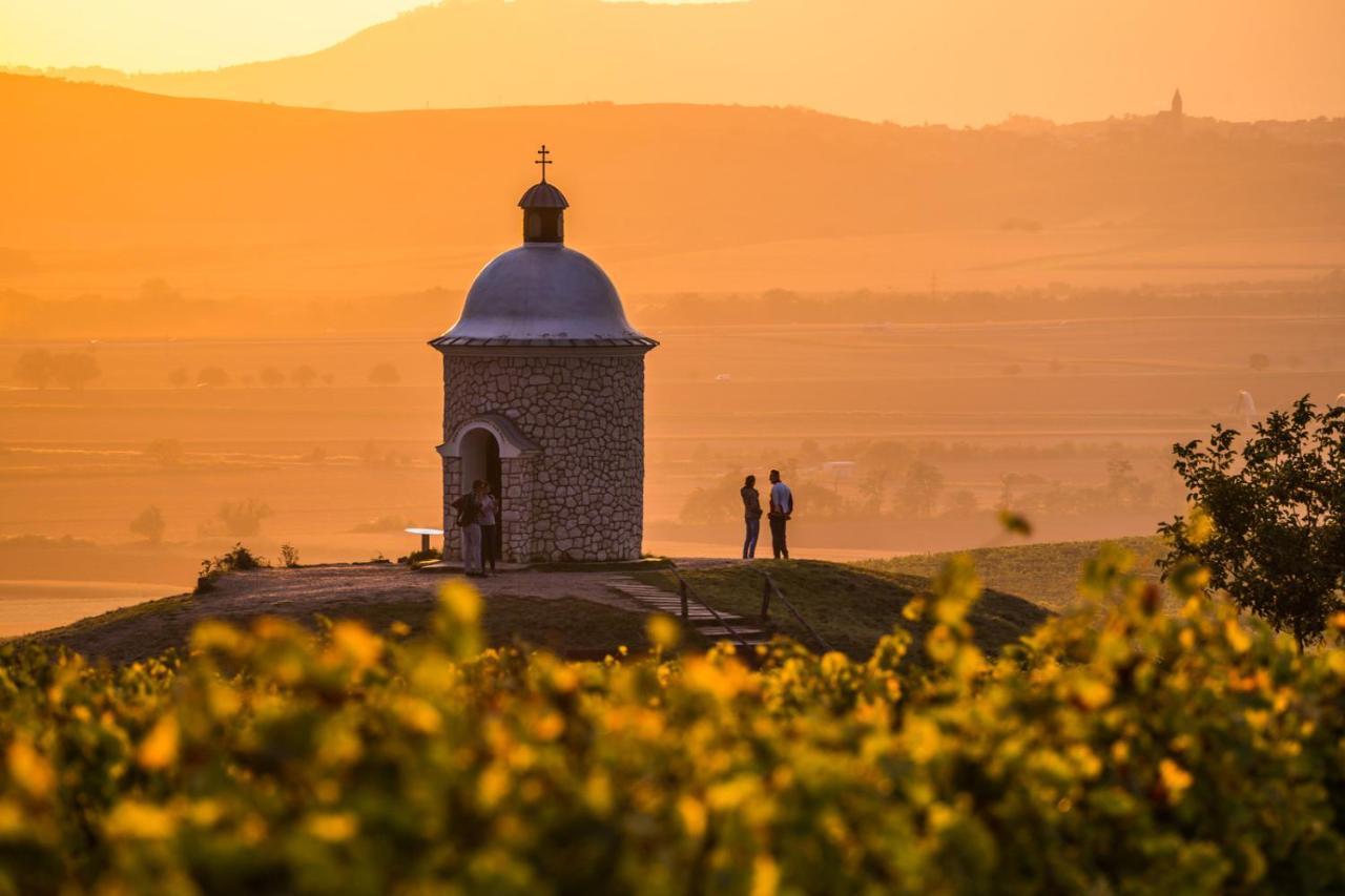 Vinoza - Ubytovani A Vinny Sklep Velke Bilovice Rulandova Exterior photo
