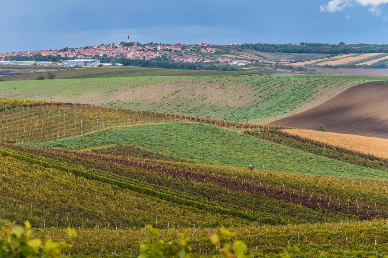 Vinoza - Ubytovani A Vinny Sklep Velke Bilovice Rulandova Exterior photo