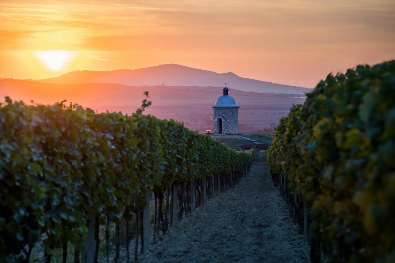 Vinoza - Ubytovani A Vinny Sklep Velke Bilovice Rulandova Exterior photo