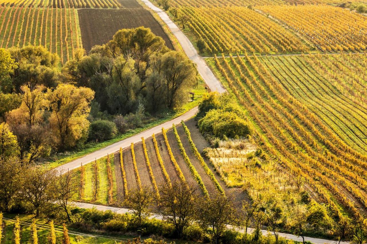 Vinoza - Ubytovani A Vinny Sklep Velke Bilovice Rulandova Exterior photo